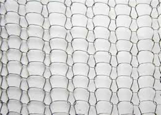 Os SS fizeram malha Mesh Fabric 4*5mm Mesh Hole Gas Liquid AISI 301 para o desembaçador